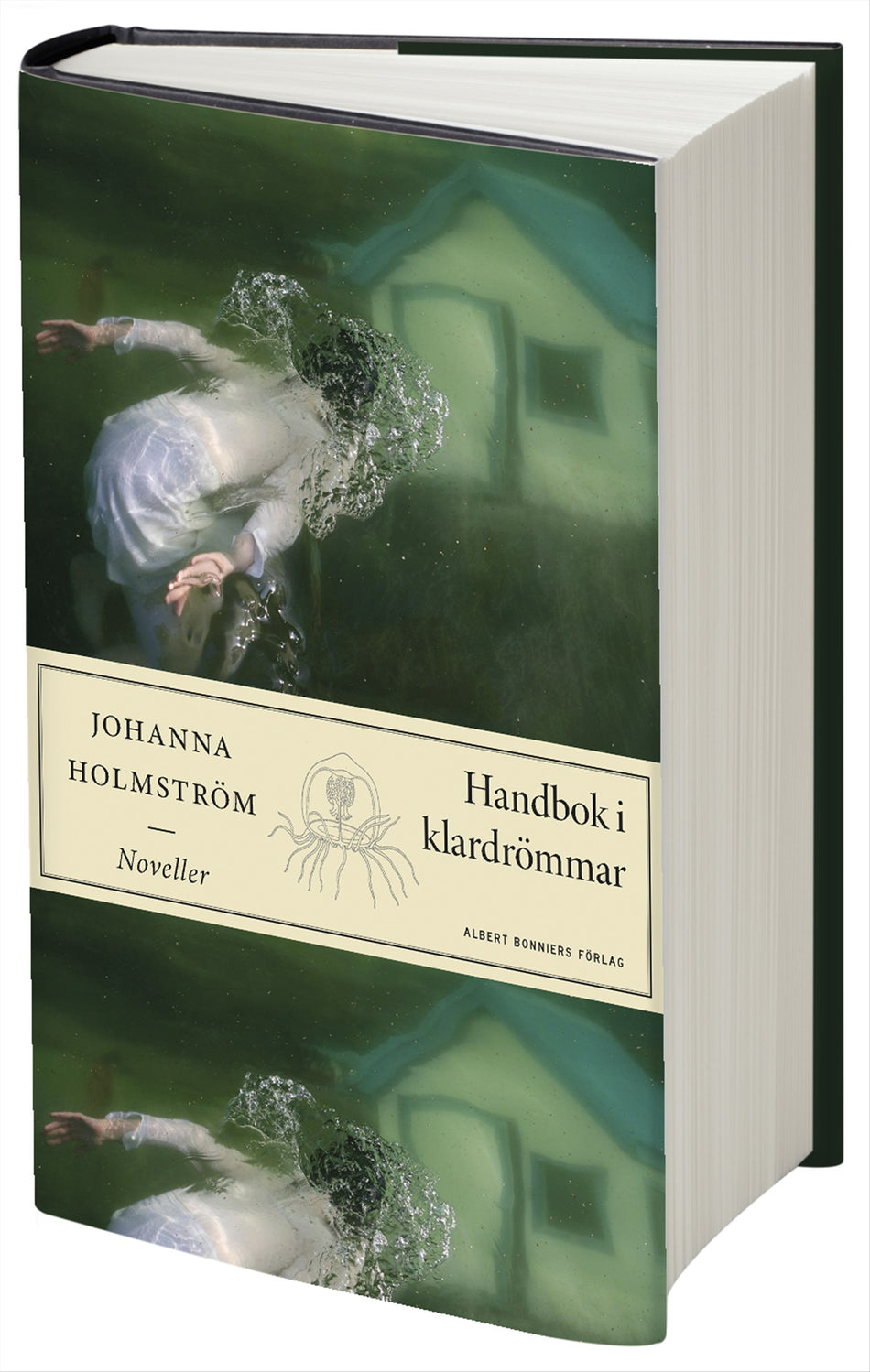 Valokuva kirjasta Johanna Holmström Handbok i klardrömmar, kuuluu tuoteryhmään Ruots kaunokirjat.