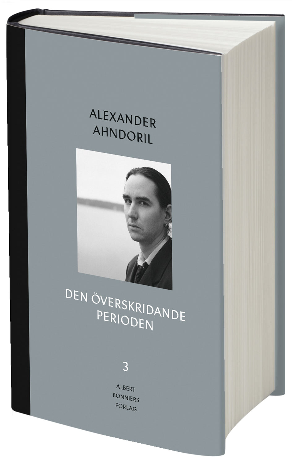 Valokuva kirjasta Alexander Ahndoril Den överskridande perioden, kuuluu tuoteryhmään Ruots kaunokirjat.