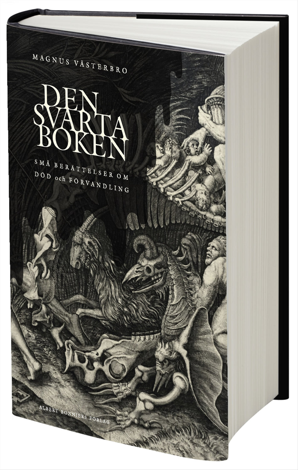 Valokuva kirjasta Magnus Västerbro Den svarta boken : små berättelser om död och förvandling, kuuluu tuoteryhmään Ruots kaunokirjat.