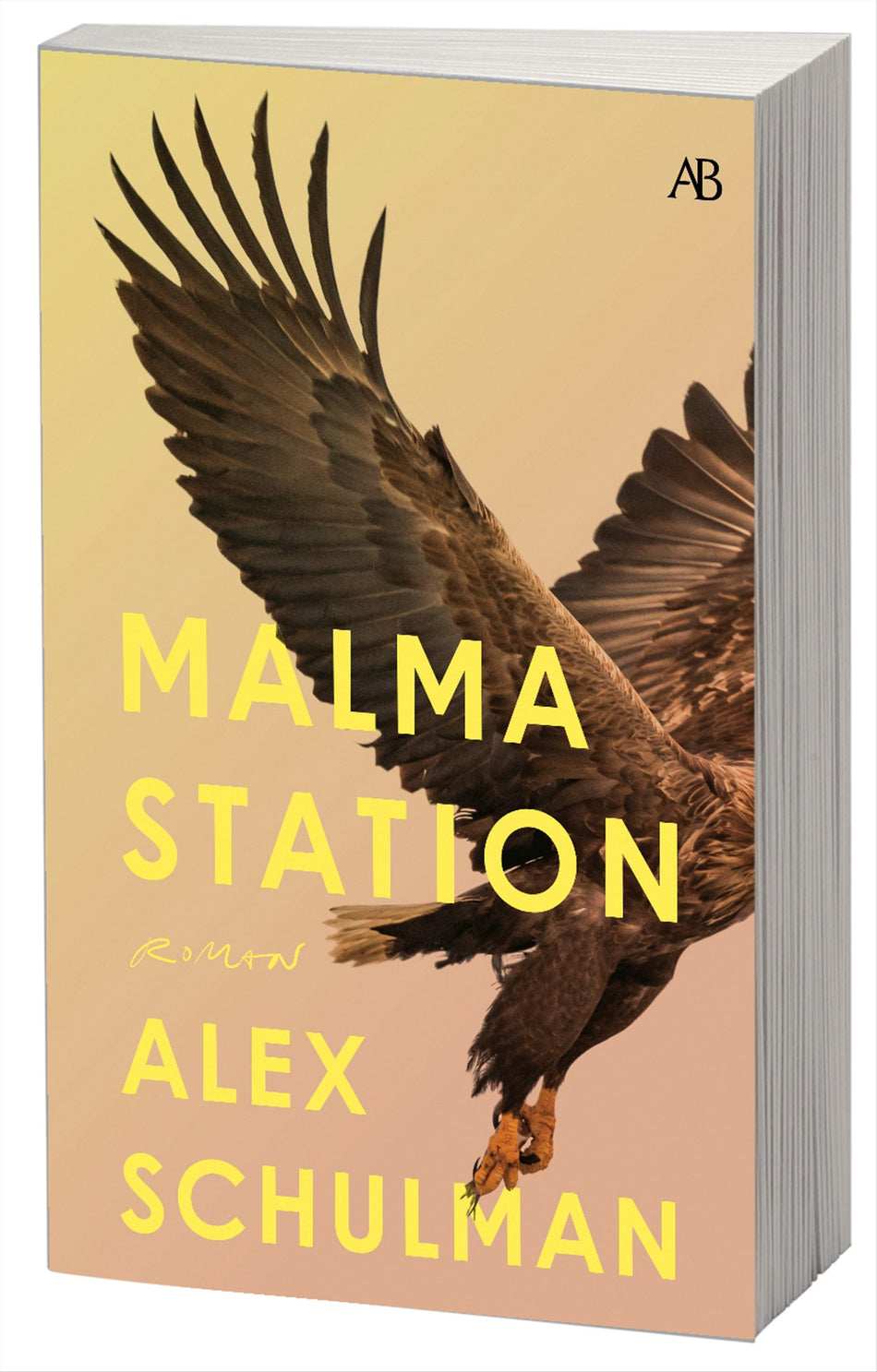 Valokuva kirjasta Alex Schulman Malma station, kuuluu tuoteryhmään Ruots kaunokirjat.