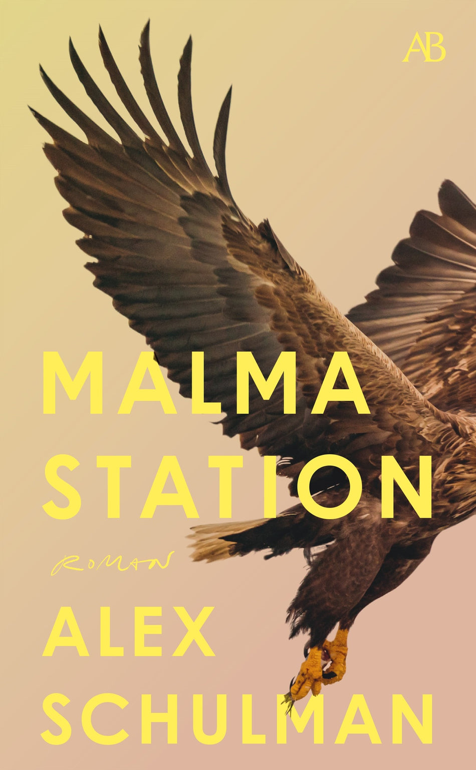 Valokuva kirjasta Alex Schulman Malma station, kuuluu tuoteryhmään Ruots kaunokirjat.