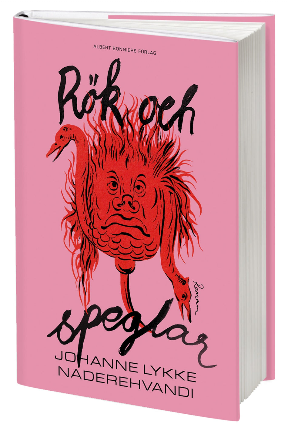 Valokuva kirjasta Johanne Lykke Naderehvandi Rök och speglar, kuuluu tuoteryhmään Ruots kaunokirjat.