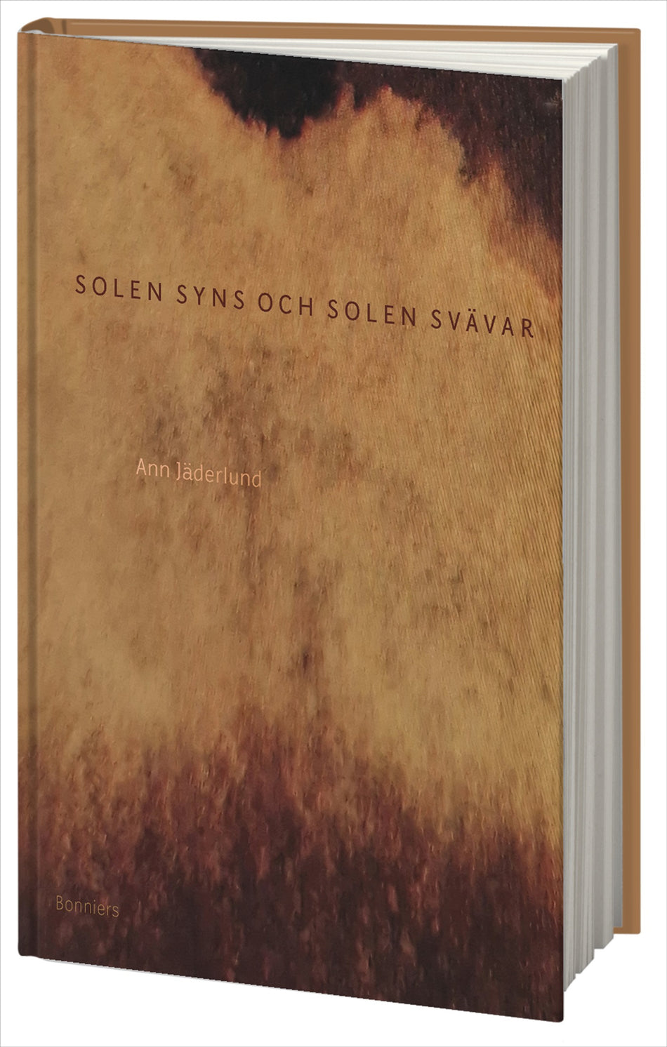 Valokuva kirjasta Ann Jäderlund Solen syns och solen svävar, kuuluu tuoteryhmään Ruots muu tieto.