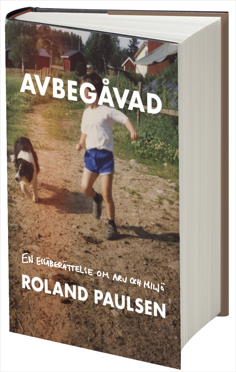 Valokuva kirjasta Roland Paulsen Avbegåvad : En essäberättelse om arv och miljö, kuuluu tuoteryhmään Ruots muu tieto.