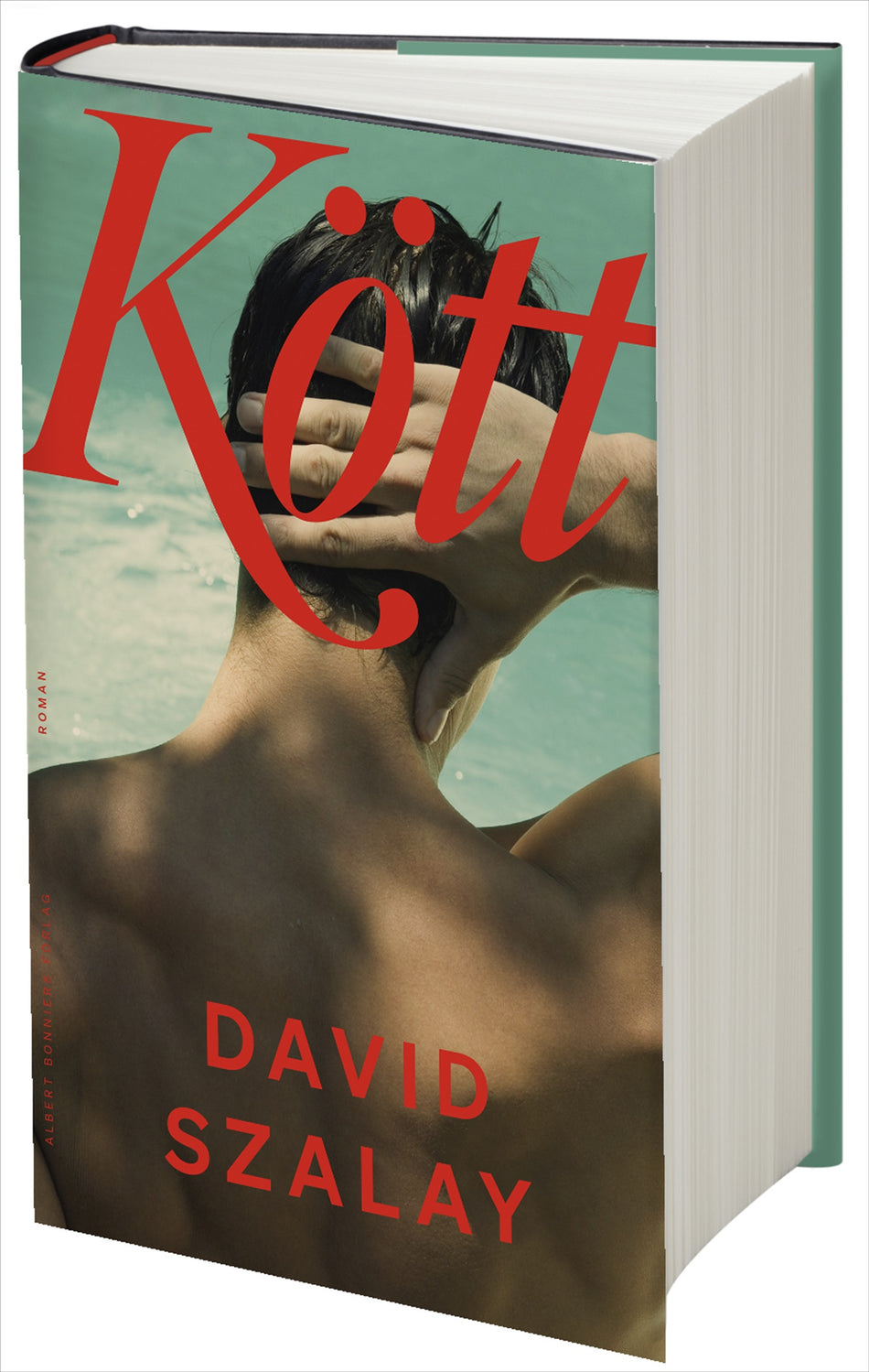 Valokuva kirjasta David Szalay Kött, kuuluu tuoteryhmään Ruots kaunokirjat.