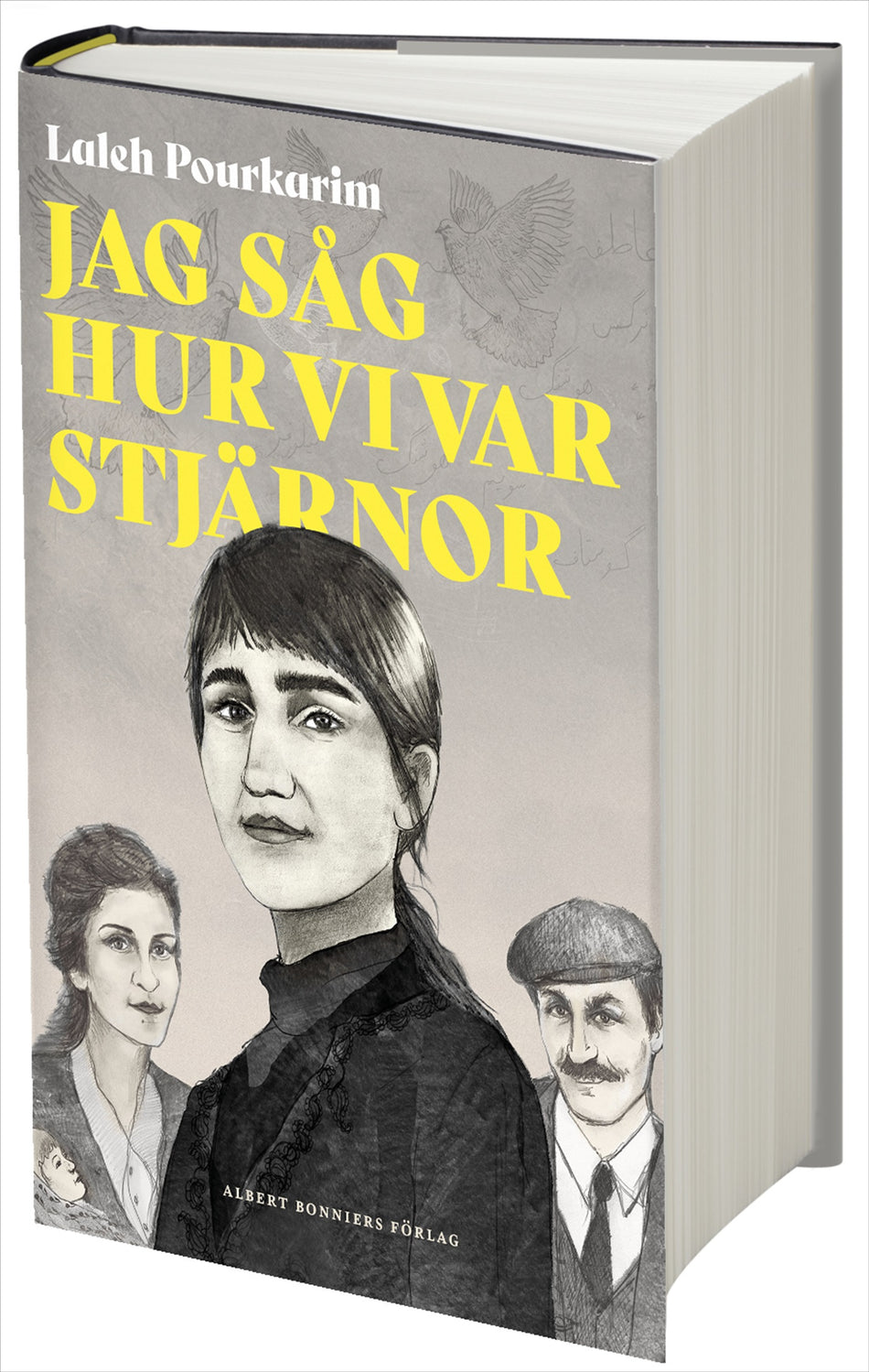 Valokuva kirjasta Laleh Pourkarim Jag såg hur vi var stjärnor, kuuluu tuoteryhmään Ruots muu tieto.