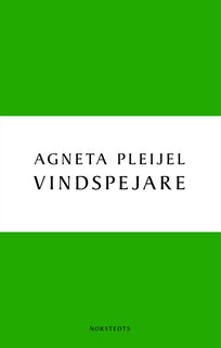 Vindspejare : boken om Abel målaren