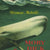 Tuotteen Moby Dick eller Den vita valen pikkukuva 1