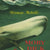 Tuotteen Moby Dick eller Den vita valen pikkukuva 2