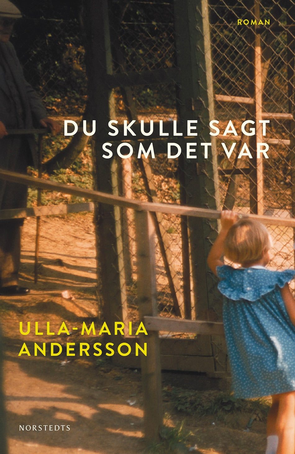 Valokuva kirjasta Ulla-Maria Andersson Du skulle sagt som det var, kuuluu tuoteryhmään Ruots kaunokirjat.