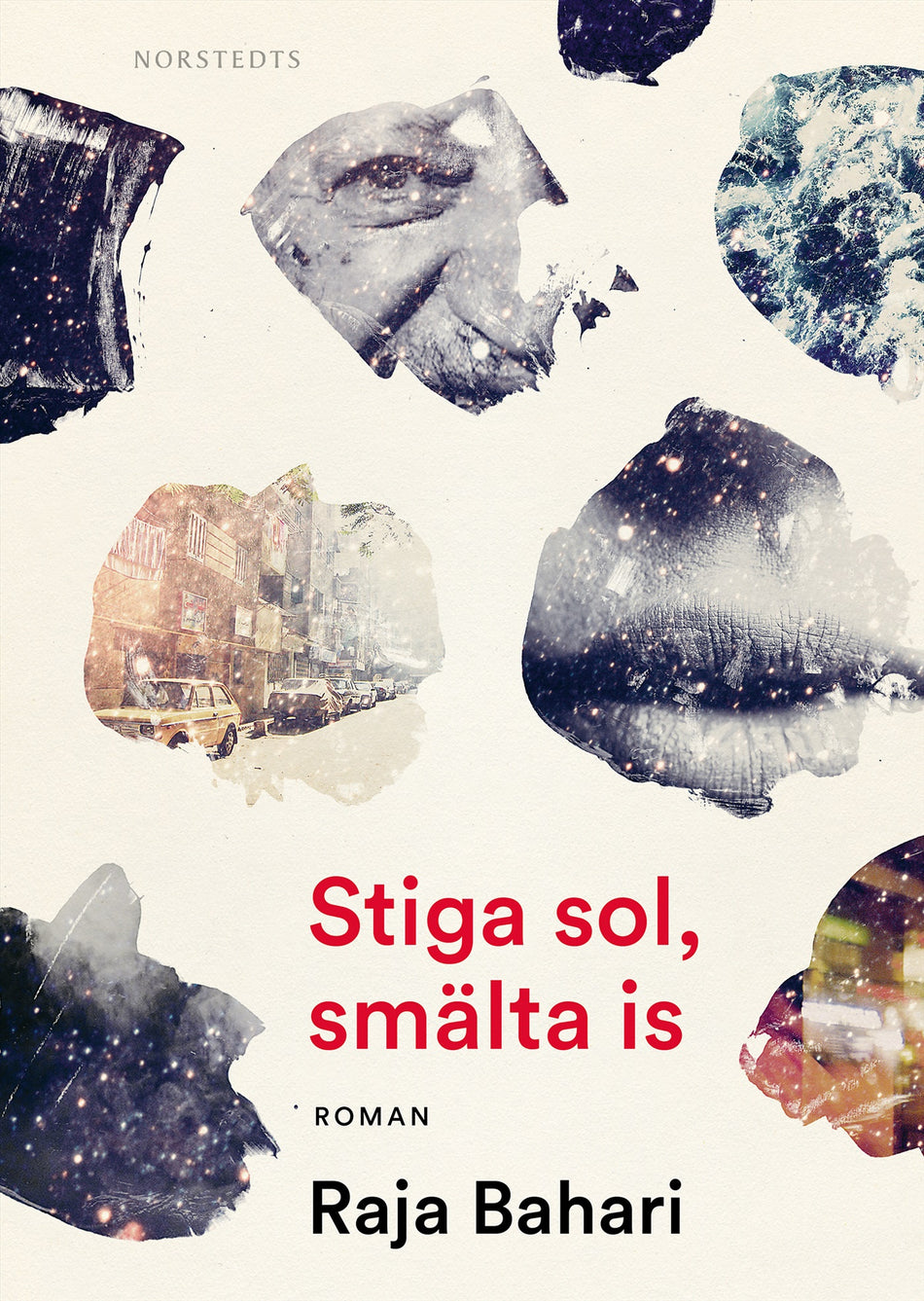 Valokuva kirjasta Raja Bahari Stiga sol, smälta is, kuuluu tuoteryhmään Ruots kaunokirjat.