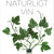 Tuotteen Naturligt vin pikkukuva 2