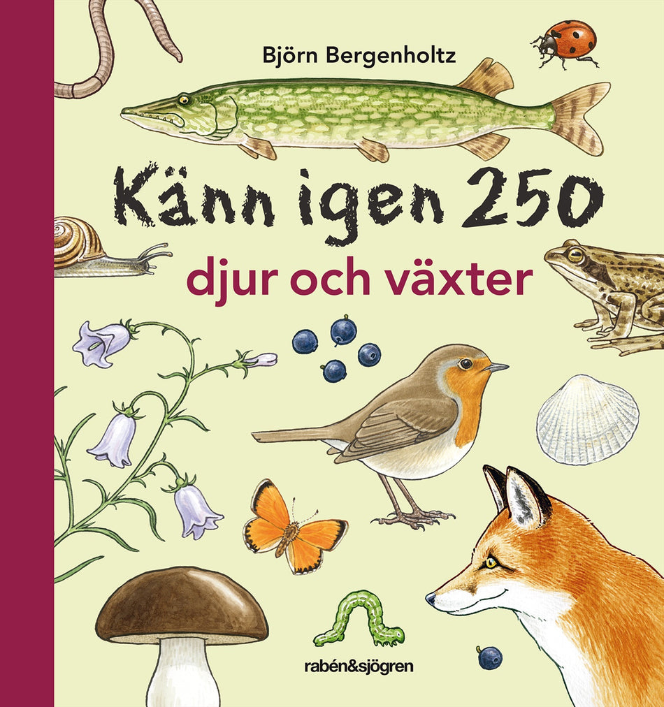 Valokuva kirjasta Björn Bergenholtz Känn igen 250 djur och växter, kuuluu tuoteryhmään Ruots lapset nuoret ja sarjakuvat.