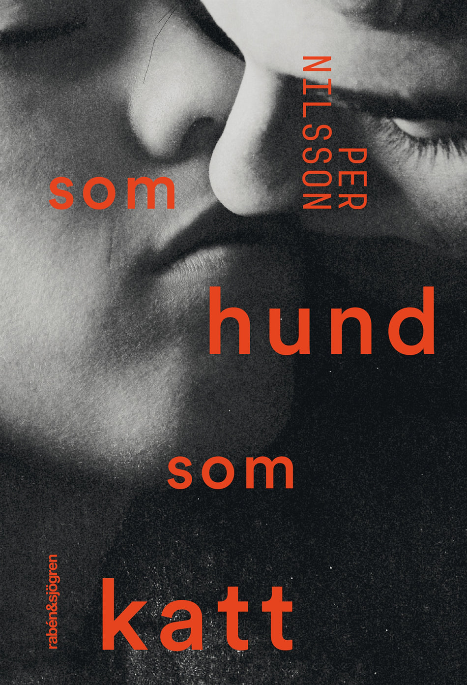 Valokuva kirjasta Per Nilsson Som hund som katt, kuuluu tuoteryhmään Ruots lapset nuoret ja sarjakuvat.