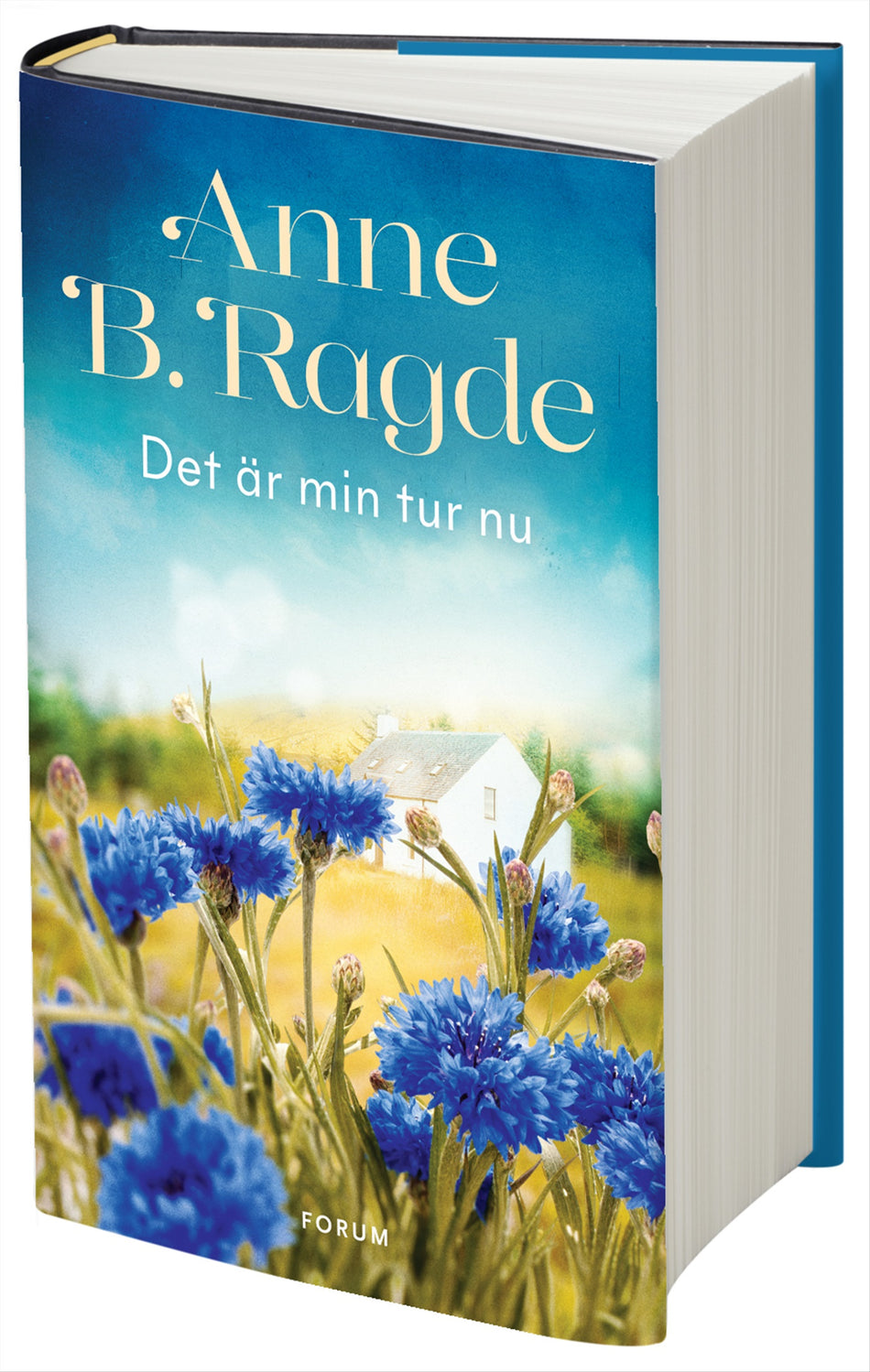 Valokuva kirjasta Anne B. Ragde Det är min tur nu, kuuluu tuoteryhmään Ruots kaunokirjat.