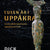 Tuotteen Tusen år i Uppåkra : en järnåldersmetropol uppgång och fall pikkukuva 3