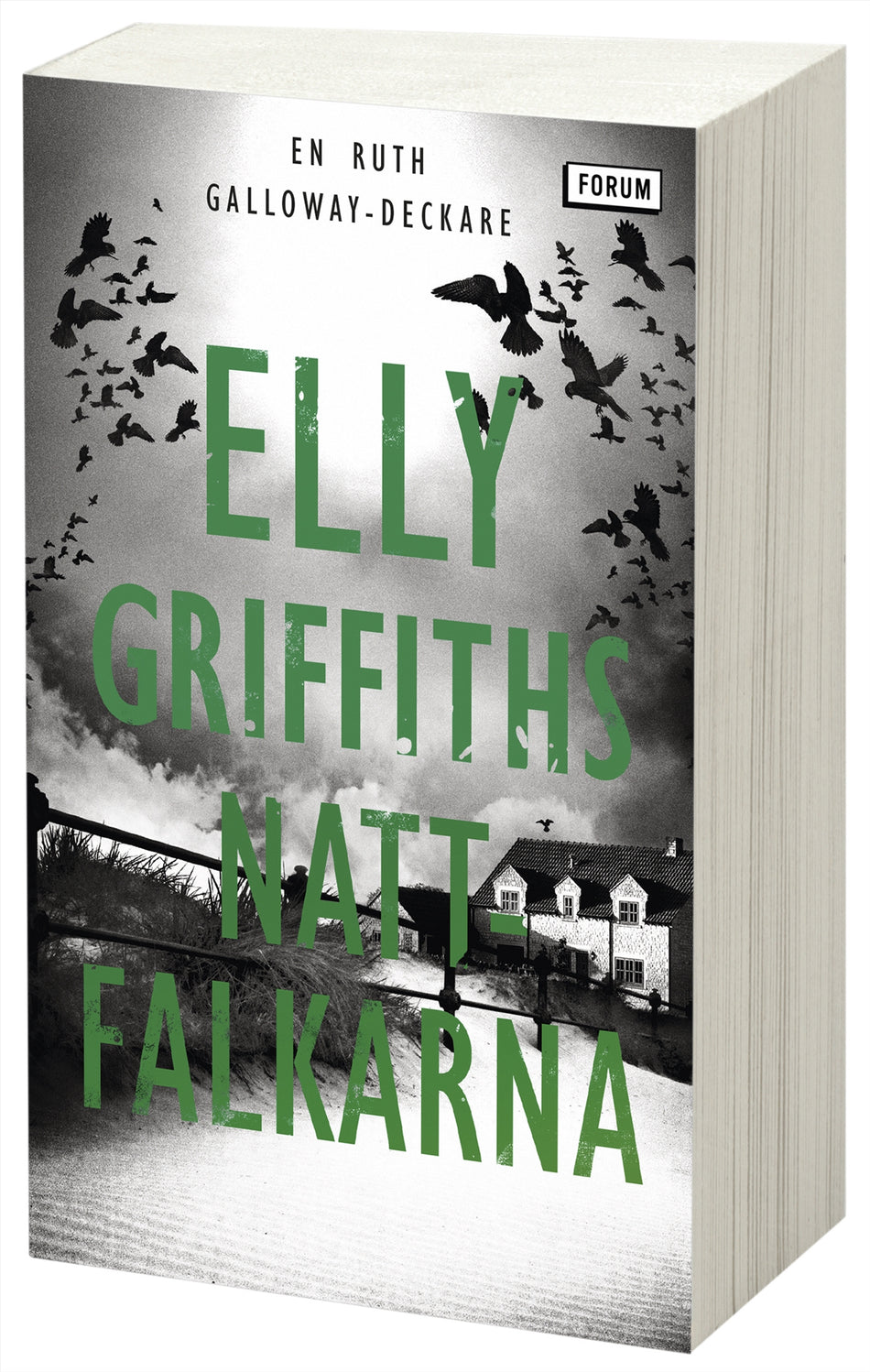 Valokuva kirjasta Elly Griffiths Nattfalkarna, kuuluu tuoteryhmään Ruotsalaiset pokkarit.