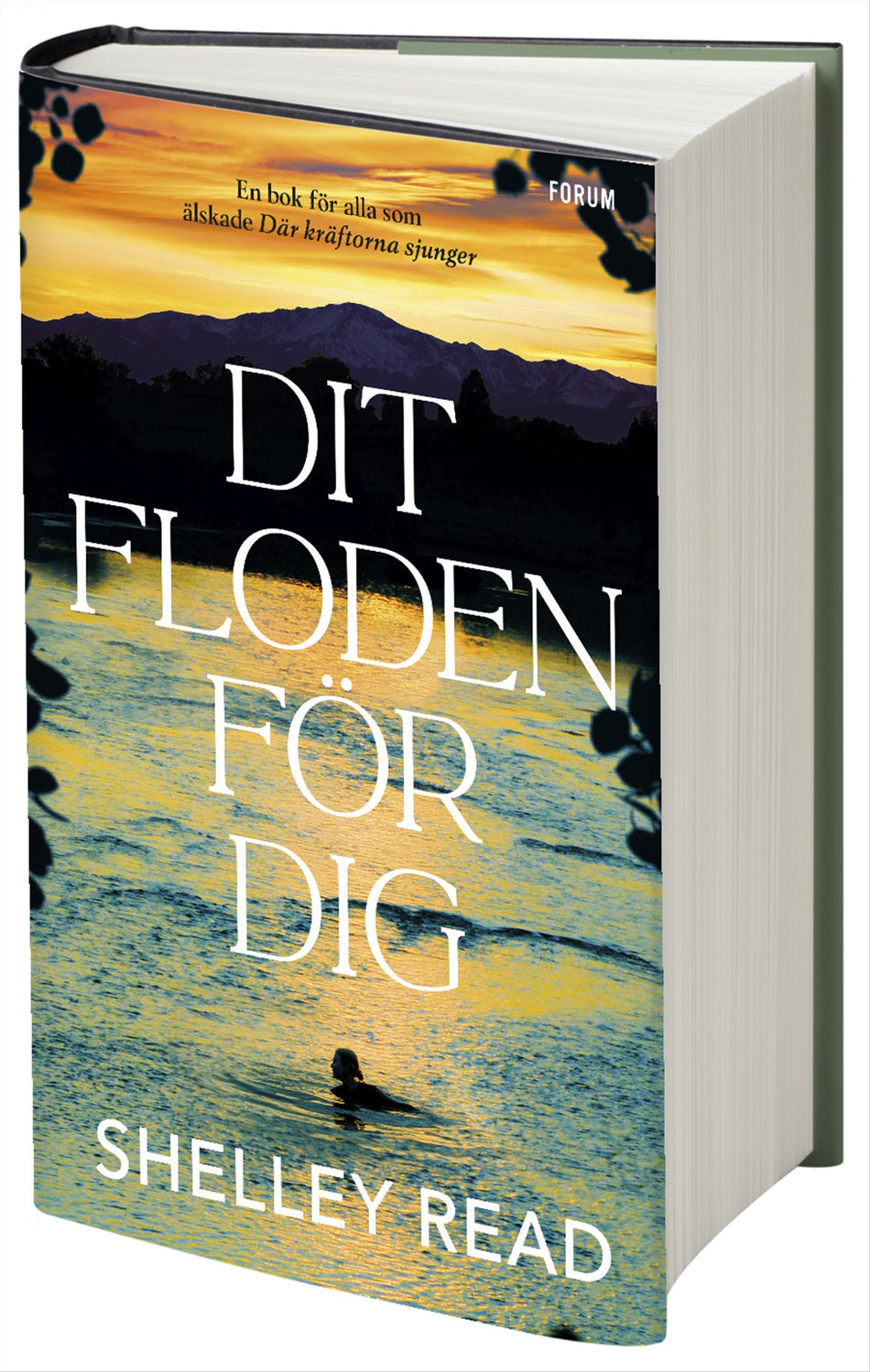 Valokuva kirjasta Shelley Read Dit floden för dig, kuuluu tuoteryhmään Ruots kaunokirjat.