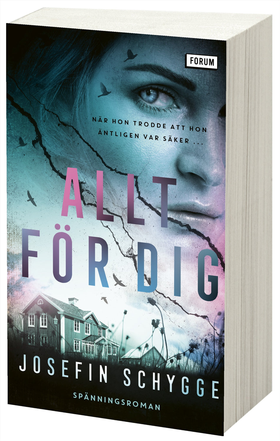 Valokuva kirjasta Josefin Schygge Allt för dig, kuuluu tuoteryhmään Ruots kaunokirjat.