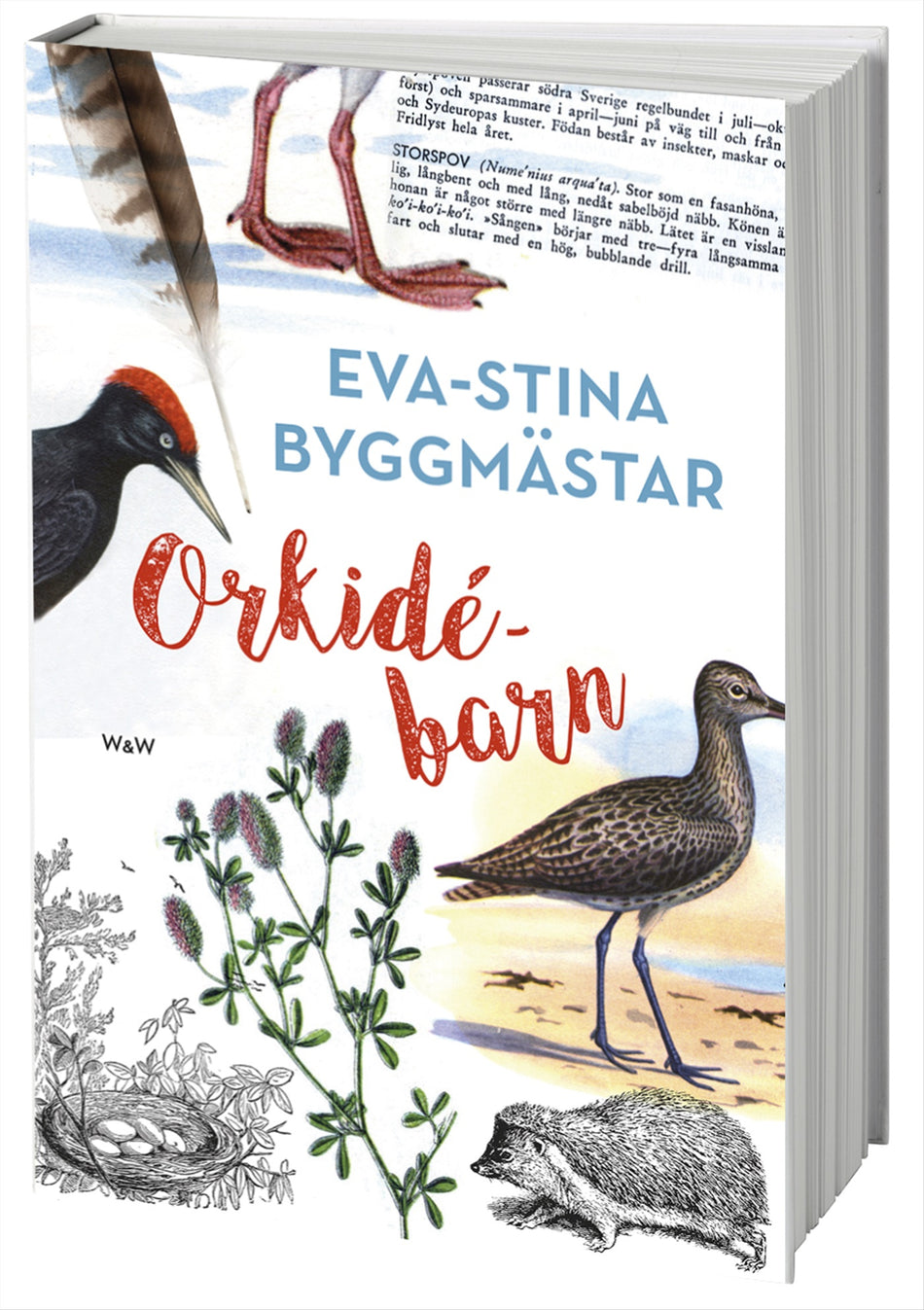 Valokuva kirjasta Eva-Stina Byggmästar Orkidébarn, kuuluu tuoteryhmään Ruots muu tieto.