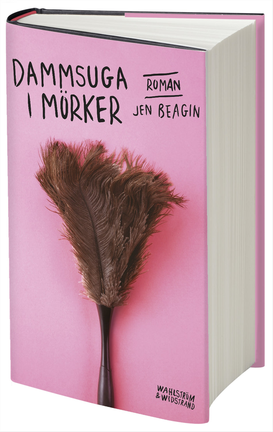 Valokuva kirjasta Jen Beagin Dammsuga i mörker, kuuluu tuoteryhmään Ruots kaunokirjat.