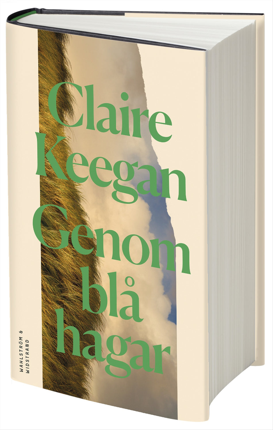 Valokuva kirjasta Claire Keegan Genom blå hagar, kuuluu tuoteryhmään Ruots kaunokirjat.