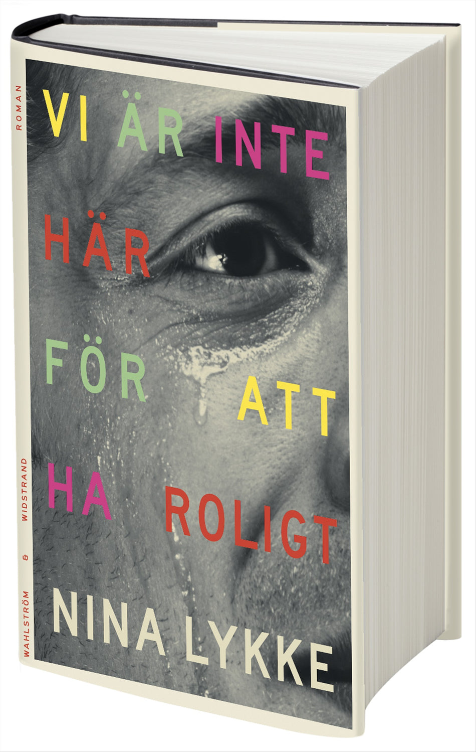 Valokuva kirjasta Nina Lykke Vi är inte här för att ha roligt, kuuluu tuoteryhmään Ruots kaunokirjat.