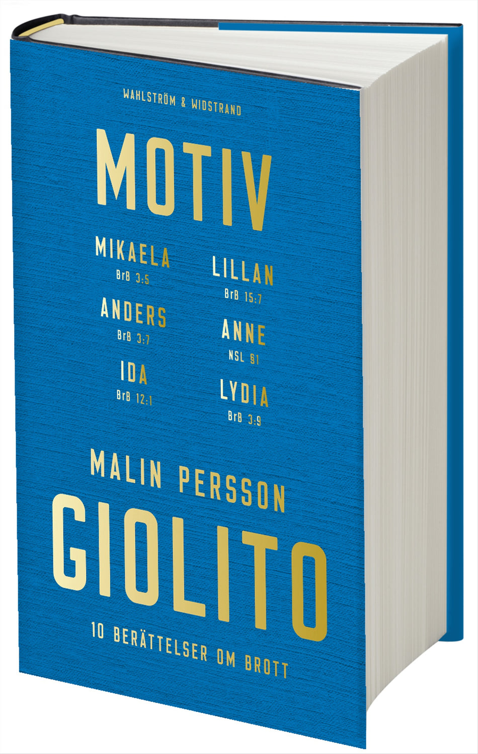 Valokuva kirjasta Malin Persson Giolito Motiv, kuuluu tuoteryhmään Ruots kaunokirjat.