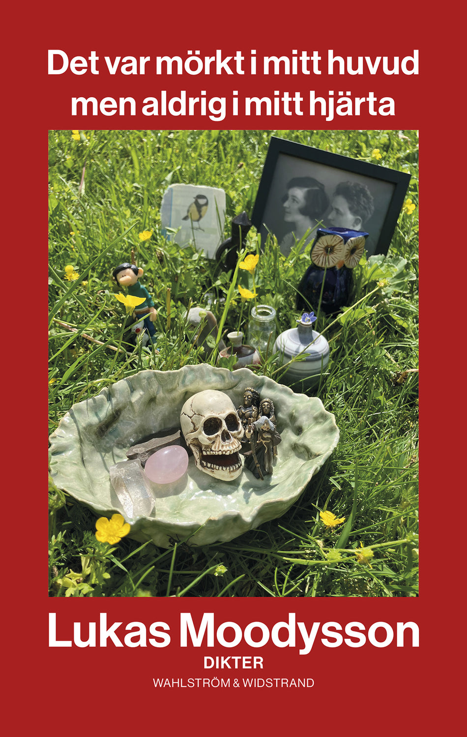 Valokuva kirjasta Lukas Moodysson Det var mörkt i mitt huvud men aldrig i mitt hjärta, kuuluu tuoteryhmään Ruots muu tieto.
