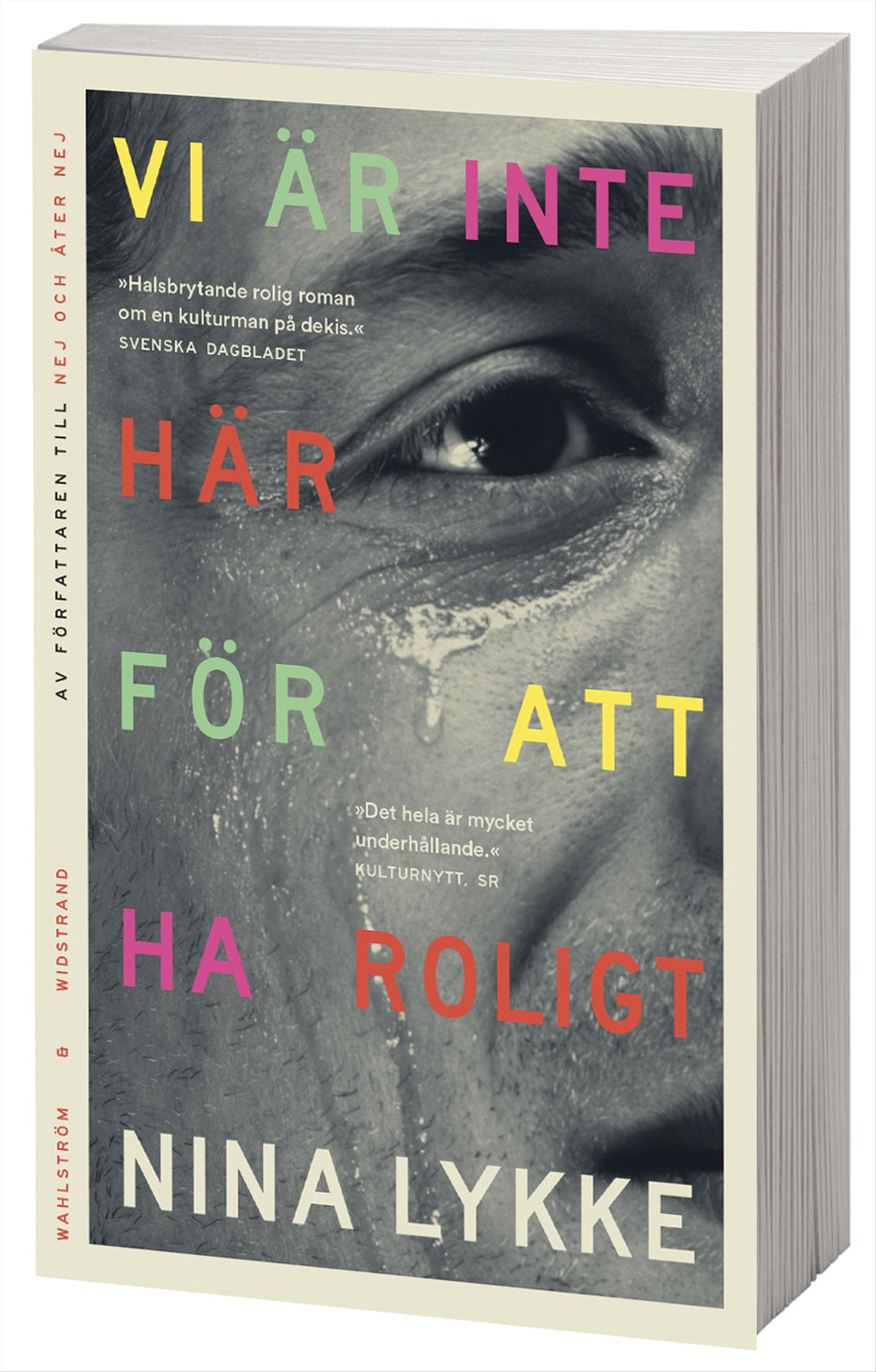 Valokuva kirjasta Nina Lykke Vi är inte här för att ha roligt, kuuluu tuoteryhmään Ruots kaunokirjat.