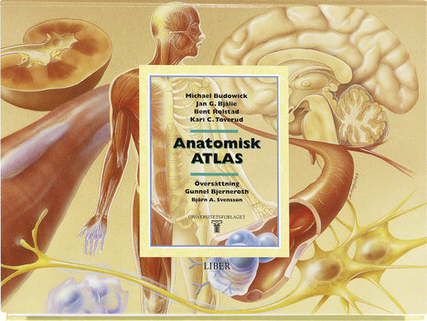Valokuva kirjasta Michael Budowick / Kari C. Toverud / Jan G. Båjlie / Bent Rolstad Anatomisk atlas, kuuluu tuoteryhmään Ruots muu tieto.