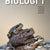 Tuotteen Biologi 1 pikkukuva 1