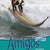 Tuotteen Amigos 4 Textbok pikkukuva 1