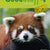 Tuotteen Good Stuff GOLD 4 Textbook pikkukuva 3