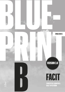Blueprint B version 3.0 Facit