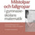Tuotteen Milstolpar och fallgropar i gymnasieskolans matematik pikkukuva 1