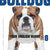 Tuotteen Bulldog - Your English Buddy 8 pikkukuva 1
