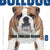Tuotteen Bulldog - Your English Buddy 8 pikkukuva 3