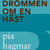 Tuotteen Drömmen om en häst pikkukuva 2