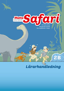 Matte Direkt Safari 2B Lärarhandledning