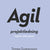 Tuotteen Agil projektledning pikkukuva 2