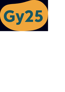 Vistas Nybörjare Allt i ett-bok