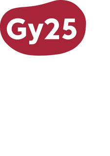 Funktionsförmåga och funktionsnedsättning, nivå 2