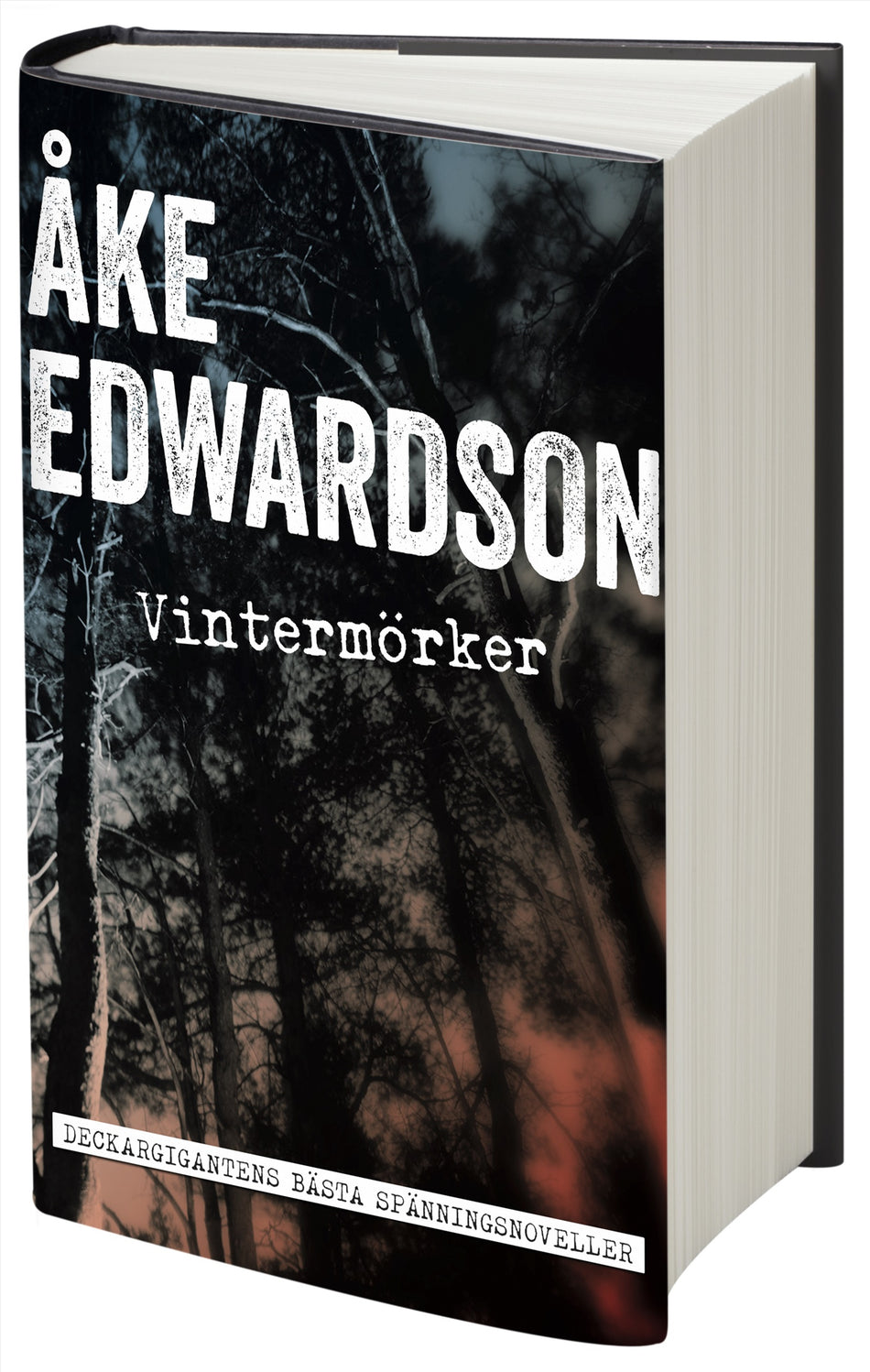 Valokuva kirjasta Åke Edwardson Vintermörker : samlade spänningshistorier, kuuluu tuoteryhmään Ruots kaunokirjat.
