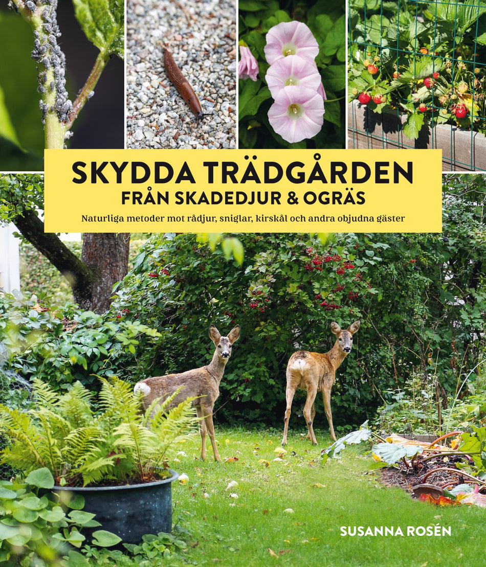 Valokuva kirjasta Susanna Rosén Skydda trädgården från skadedjur &amp; ogräs : naturliga metoder mot rådjur, sniglar, kirskål och andra objudna gäster, kuuluu tuoteryhmään Ruots harrasteet taide.