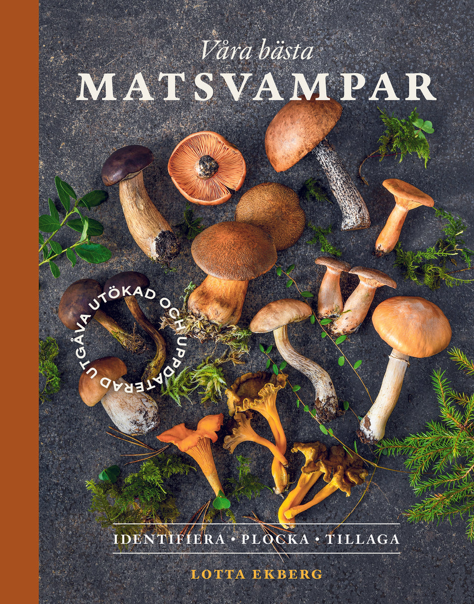 Valokuva kirjasta Lotta Ekberg Våra bästa matsvampar : identifiera, plocka, tillaga, kuuluu tuoteryhmään Ruots harrasteet taide.