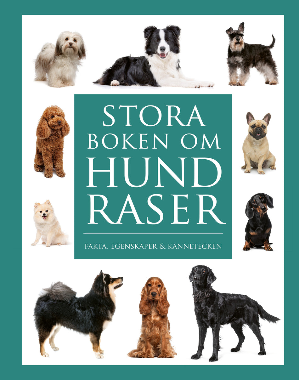 Valokuva kirjasta Tom Jackson Stora boken om hundraser : Fakta, egenskaper och kännetecken, kuuluu tuoteryhmään Ruots harrasteet taide.