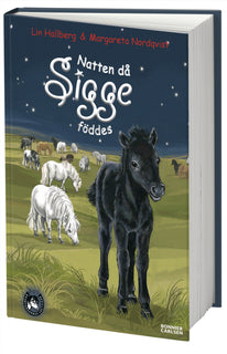 Natten då Sigge föddes