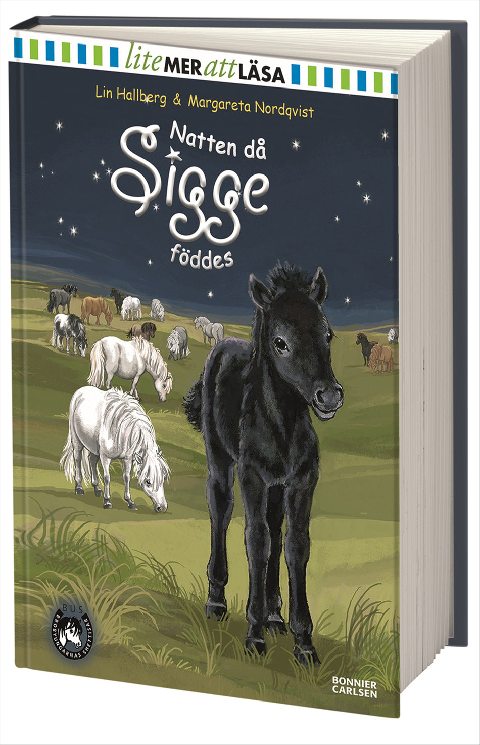 Valokuva kirjasta Lin Hallberg Natten då Sigge föddes, kuuluu tuoteryhmään Ruots lapset nuoret ja sarjakuvat.