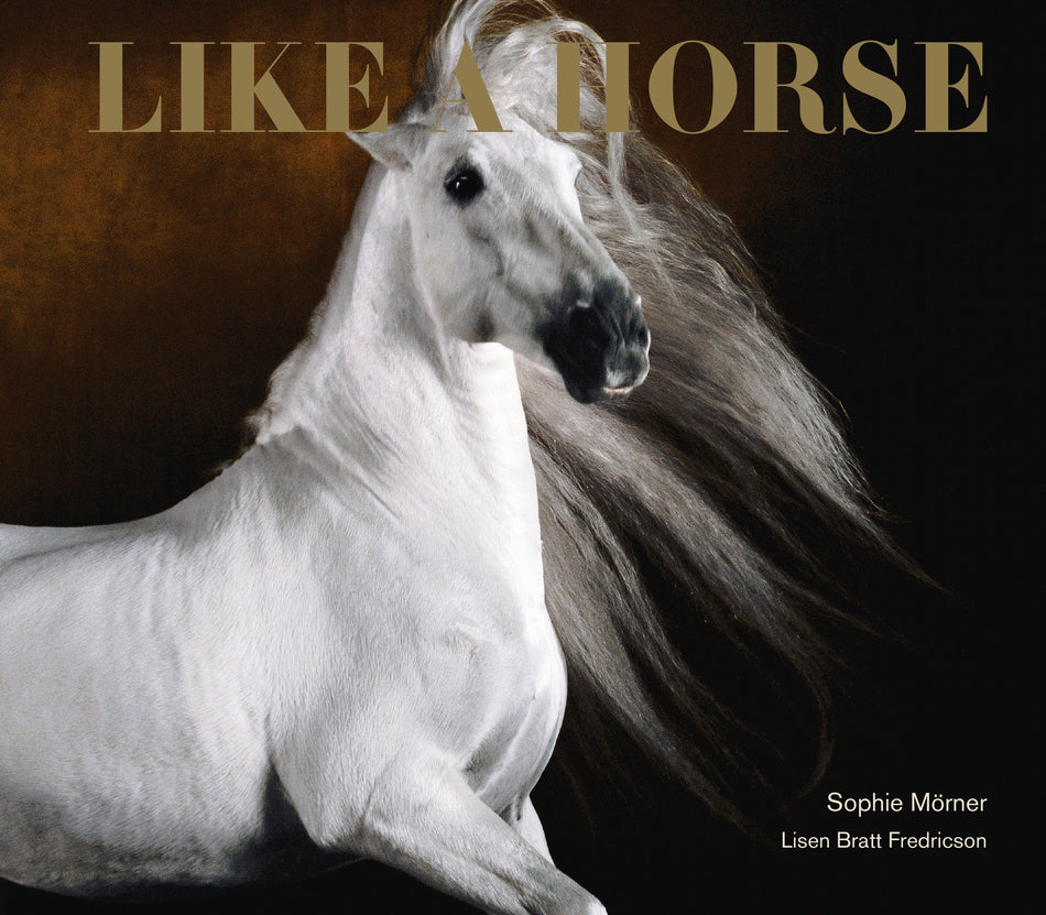 Valokuva kirjasta Sophie Mörner / Lisen Bratt Fredricson Like a horse, kuuluu tuoteryhmään Ruots harrasteet taide.
